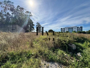 Terreno para Venda em Santa Maria e São Miguel, São Martinho, São Pedro Penaferrim