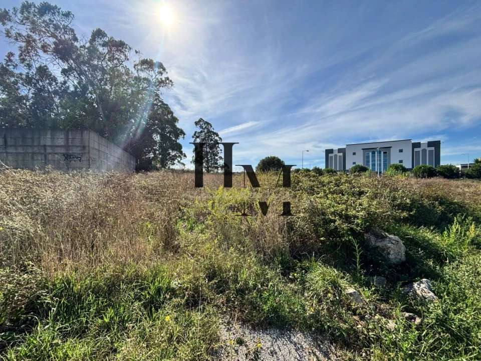 Terreno para Venda em Santa Maria e São Miguel, São Martinho, São Pedro Penaferrim Foto 1