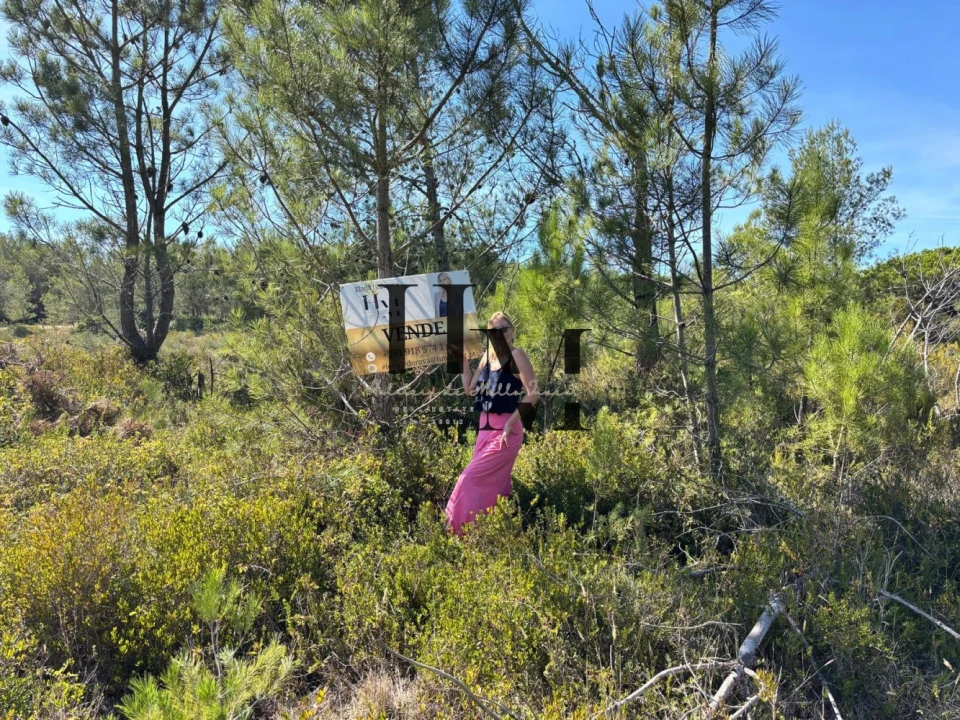 Terreno para Venda em São João das Lampas e Terrugem Foto 2