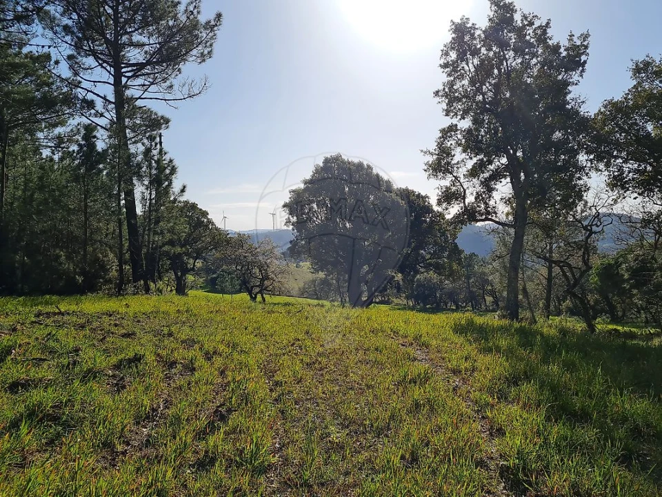 Terreno para Venda em Lousa Foto 3