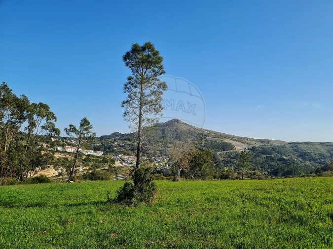 Terreno para Venda em Lousa Foto 5