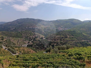 Terreno para Venda em Lobrigos (São Miguel e São João Baptista) e Sanhoane