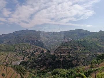 Terreno para Venda em Lobrigos (São Miguel e São João Baptista) e Sanhoane