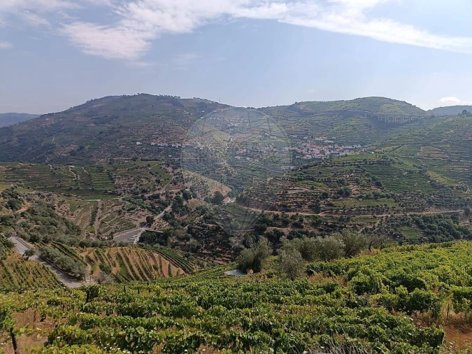 Terreno para Venda em Lobrigos (São Miguel e São João Baptista) e Sanhoane Foto 9