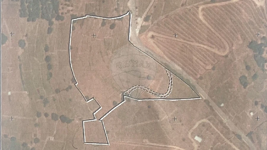 Terreno para Venda em Lobrigos (São Miguel e São João Baptista) e Sanhoane Foto 20