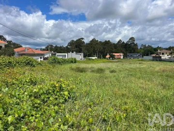 Terreno para Venda em Antas