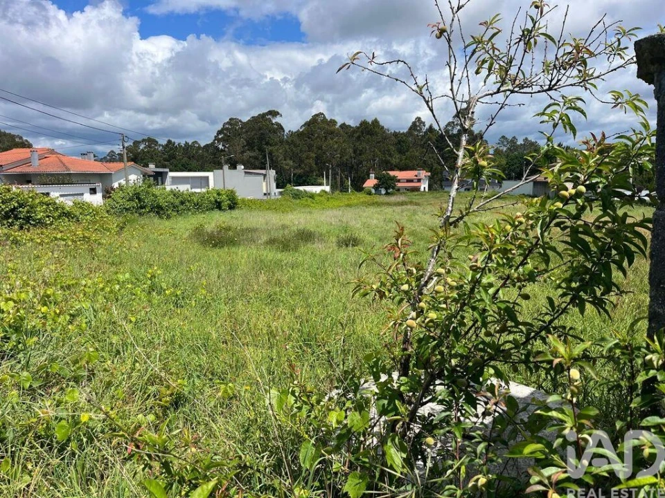 Terreno para Venda em Antas Foto 4