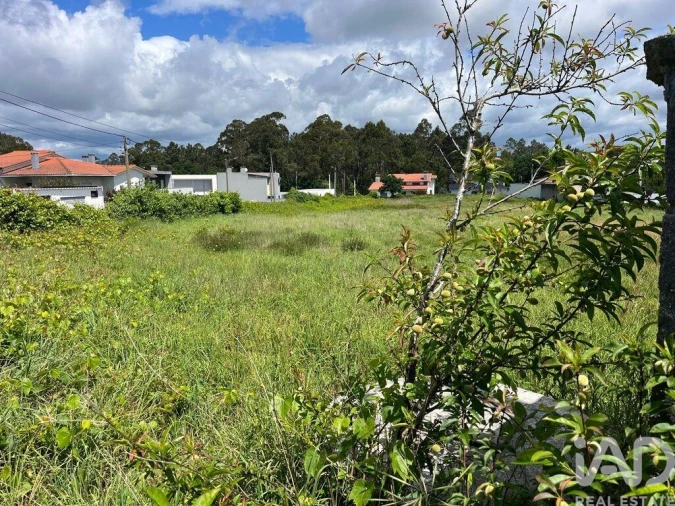 Terreno para Venda em Antas Foto 4