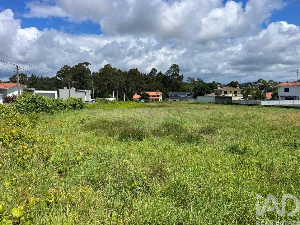 Terreno para Venda em Antas Foto 3