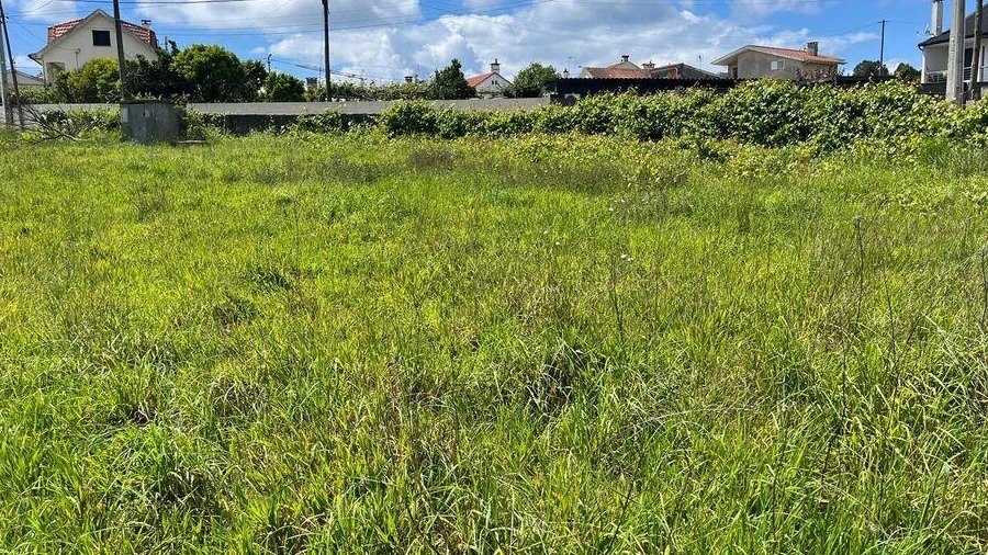 Terreno para Venda em Antas