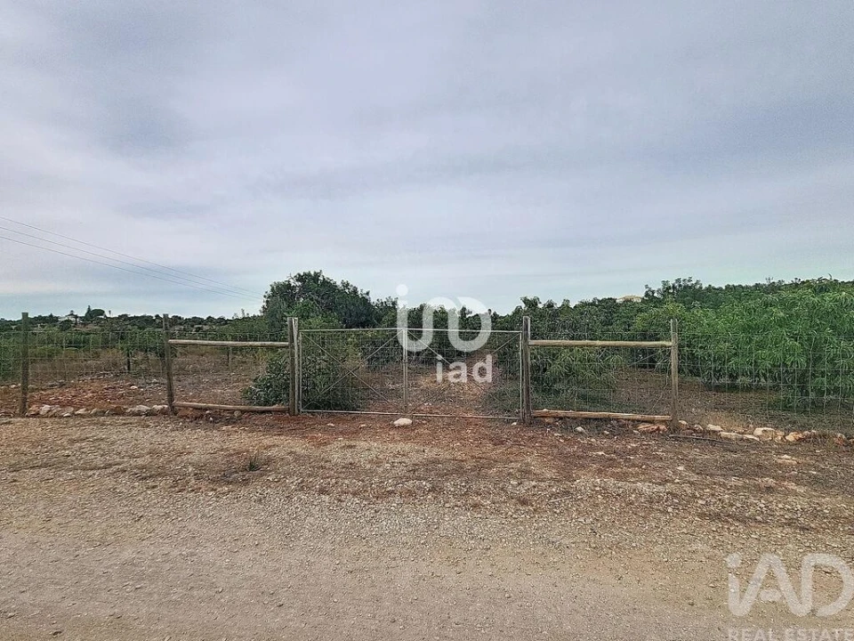 Terreno para Venda em Silves Foto 22