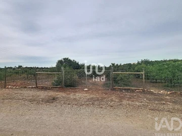 Terreno para Venda em Silves