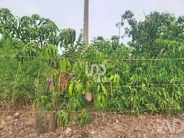 Terreno para Venda em Silves