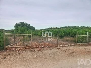 Terreno para Venda em Silves