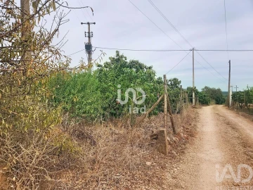 Terreno para Venda em Silves