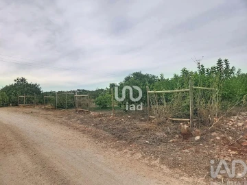 Terreno para Venda em Silves