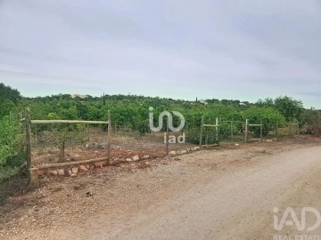 Terreno para Venda em Silves