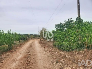 Terreno para Venda em Silves