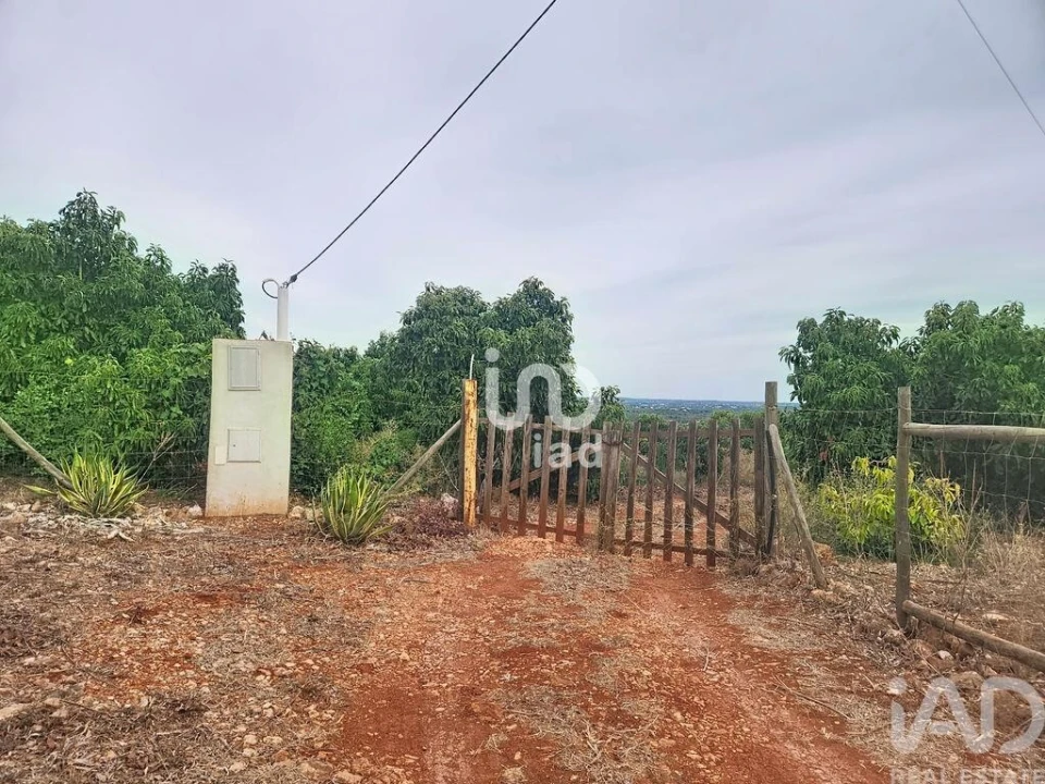 Terreno para Venda em Silves Foto 7