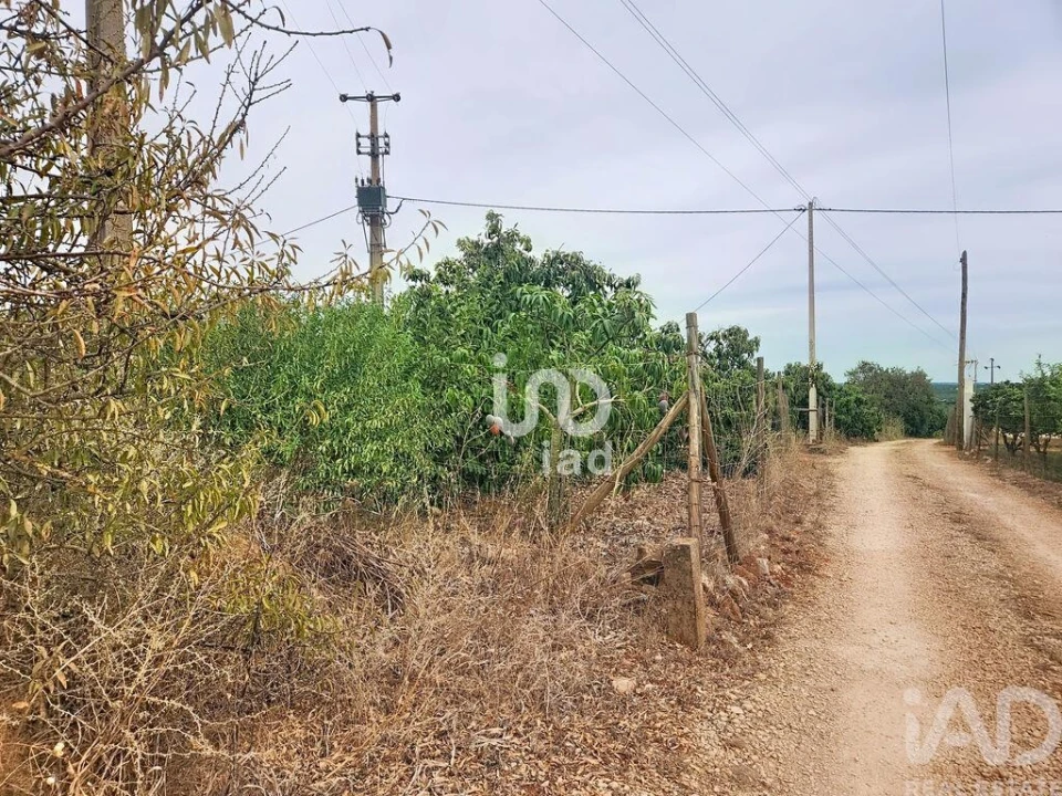 Terreno para Venda em Silves Foto 5