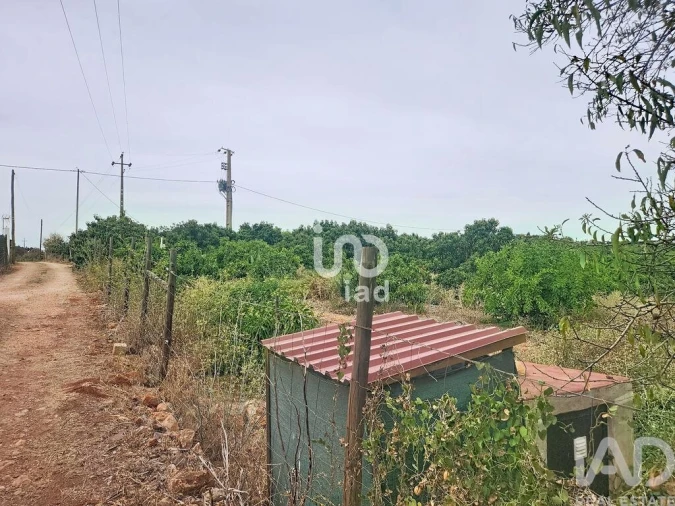 Terreno para Venda em Silves Foto 12