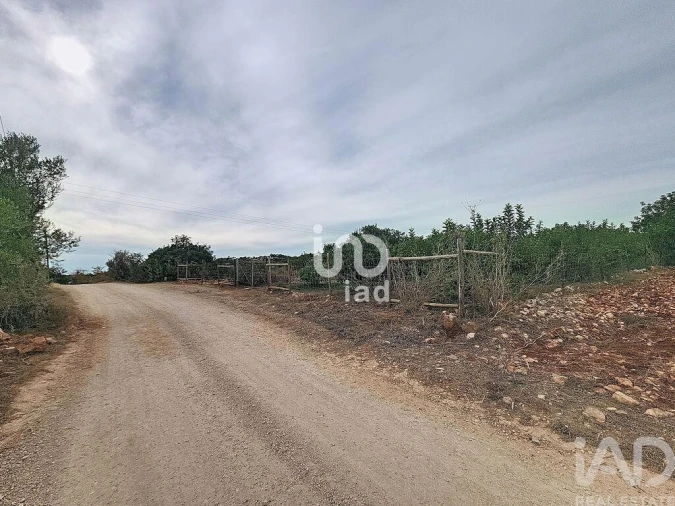 Terreno para Venda em Silves Foto 21