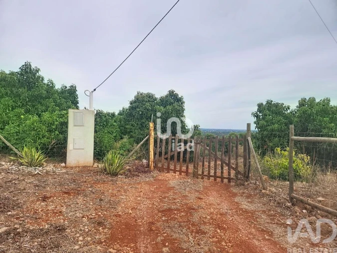 Terreno para Venda em Silves Foto 7