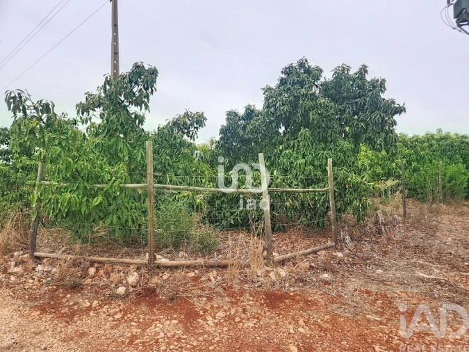Terreno para Venda em Silves Foto 15
