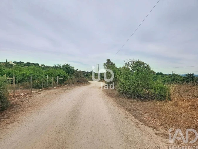 Terreno para Venda em Silves Foto 20