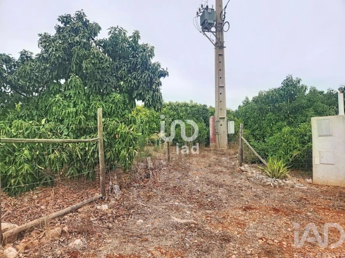 Terreno para Venda em Silves Foto 8