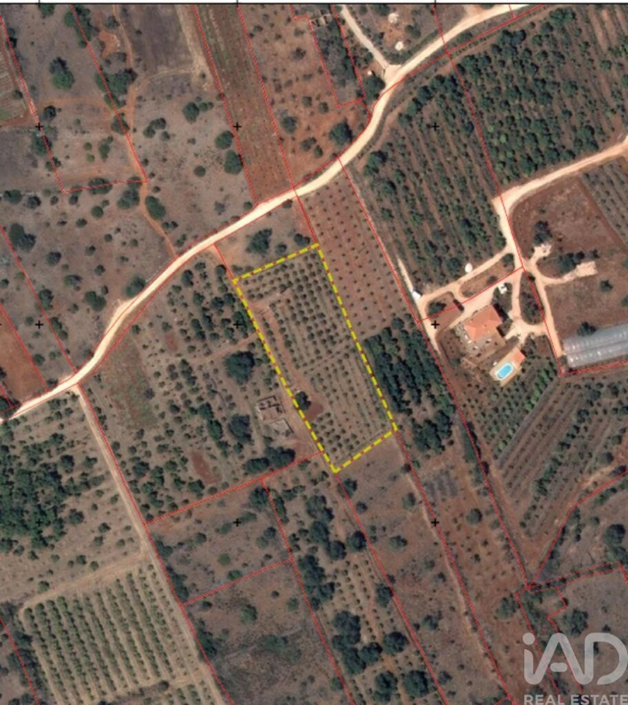 Terreno para Venda em Silves Foto 2