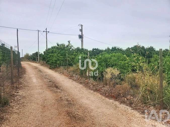 Terreno para Venda em Silves Foto 14