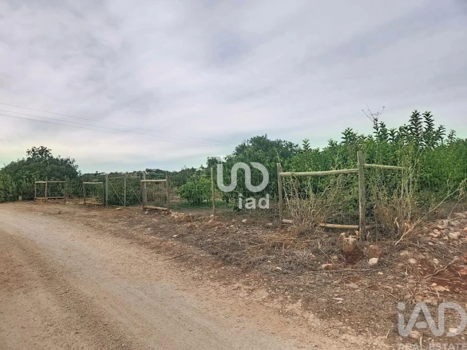 Terreno para Venda em Silves Foto 17