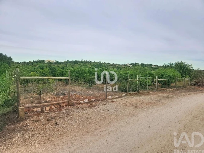 Terreno para Venda em Silves Foto 18