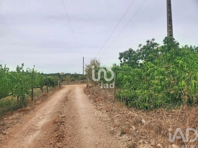 Terreno para Venda em Silves Foto 16