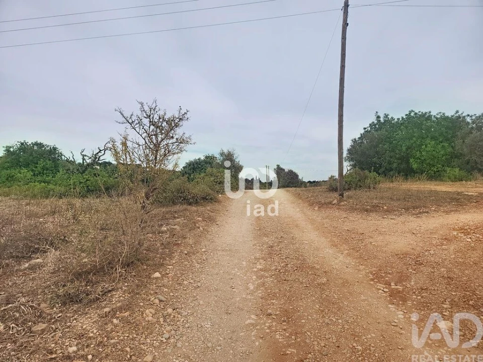 Terreno para Venda em Silves Foto 4