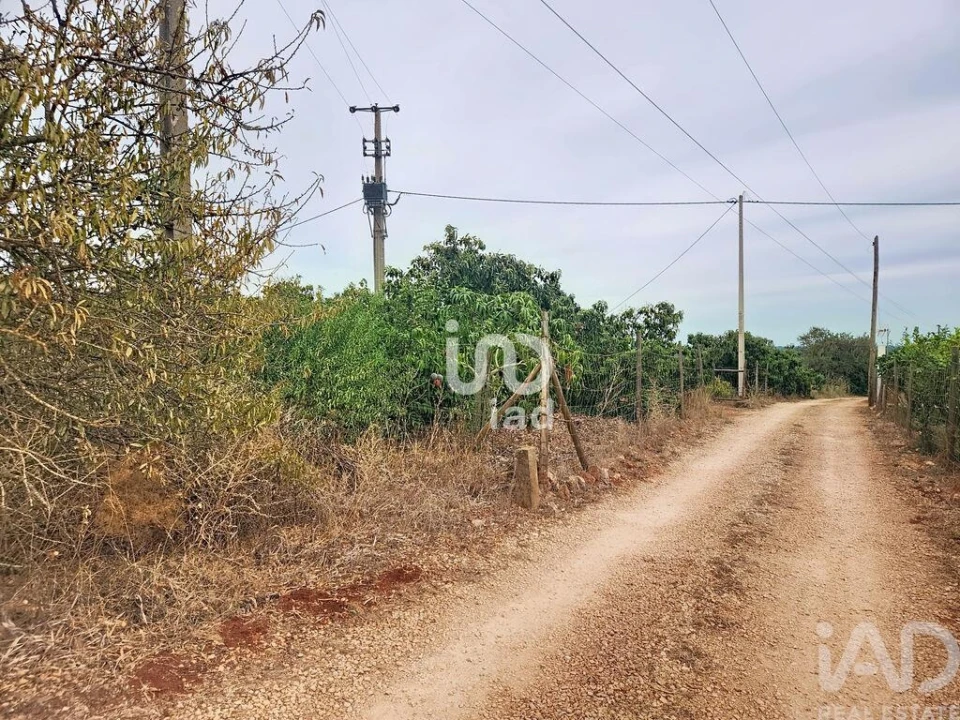 Terreno para Venda em Silves Foto 3