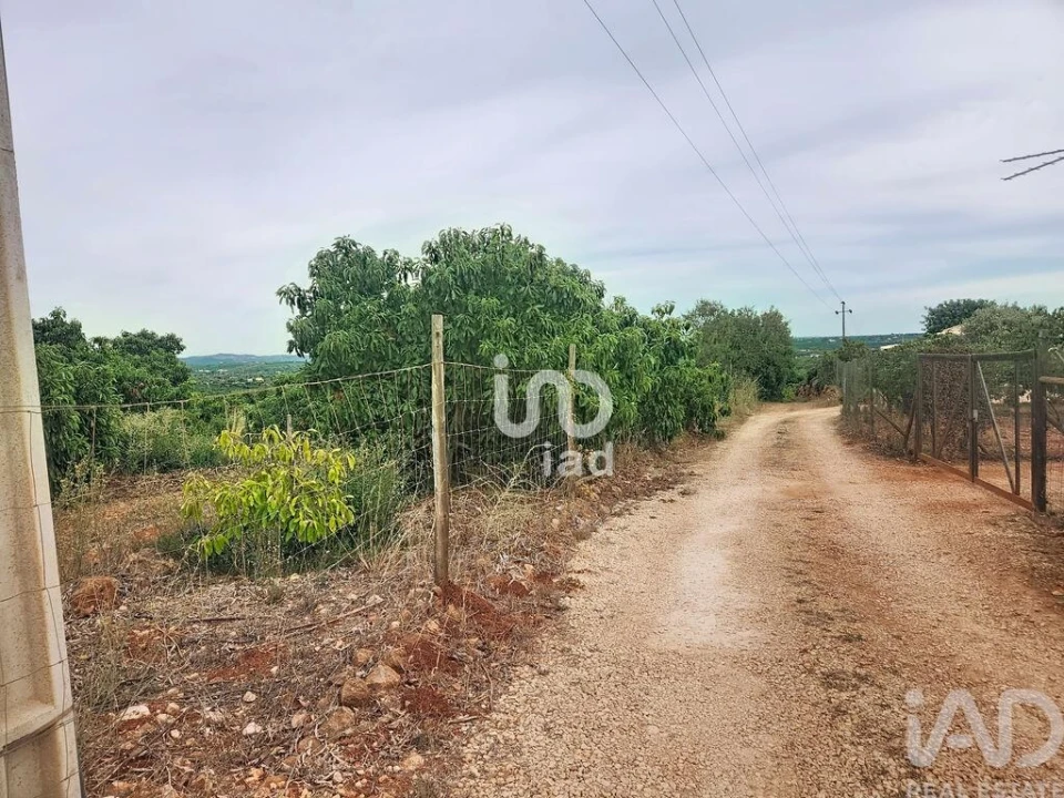 Terreno para Venda em Silves Foto 10