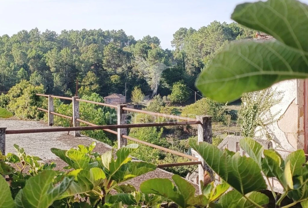 Quinta T6 para Venda em Andrães Foto 17