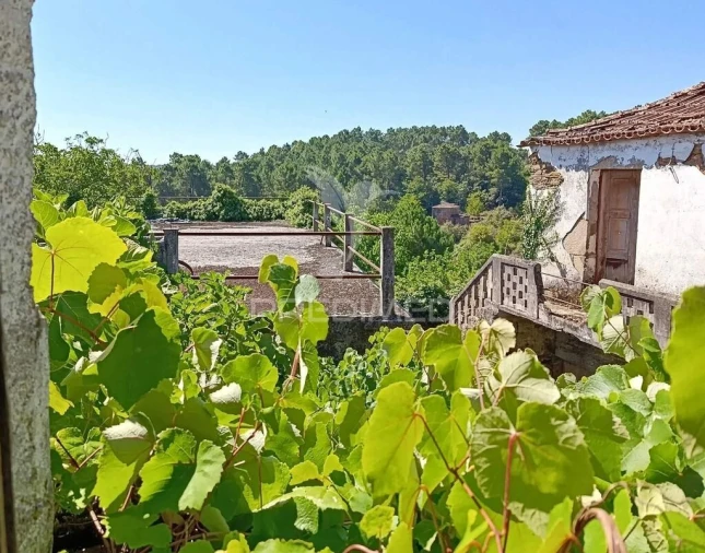 Quinta T6 para Venda em Andrães Foto 17