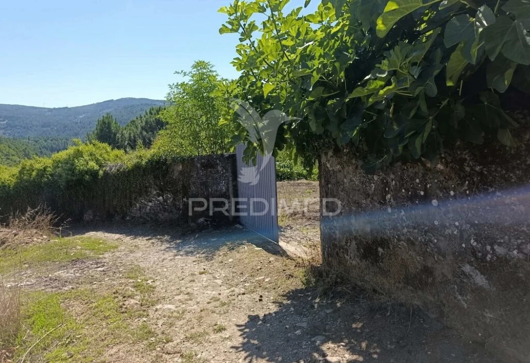 Quinta T6 para Venda em Andrães Foto 20