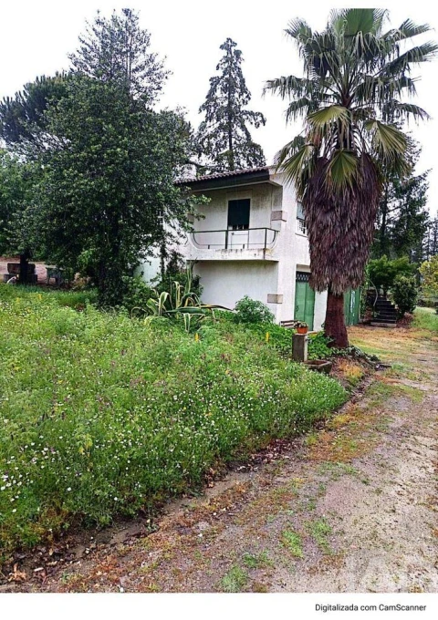 Terreno para Venda em São Miguel de Vila Boa