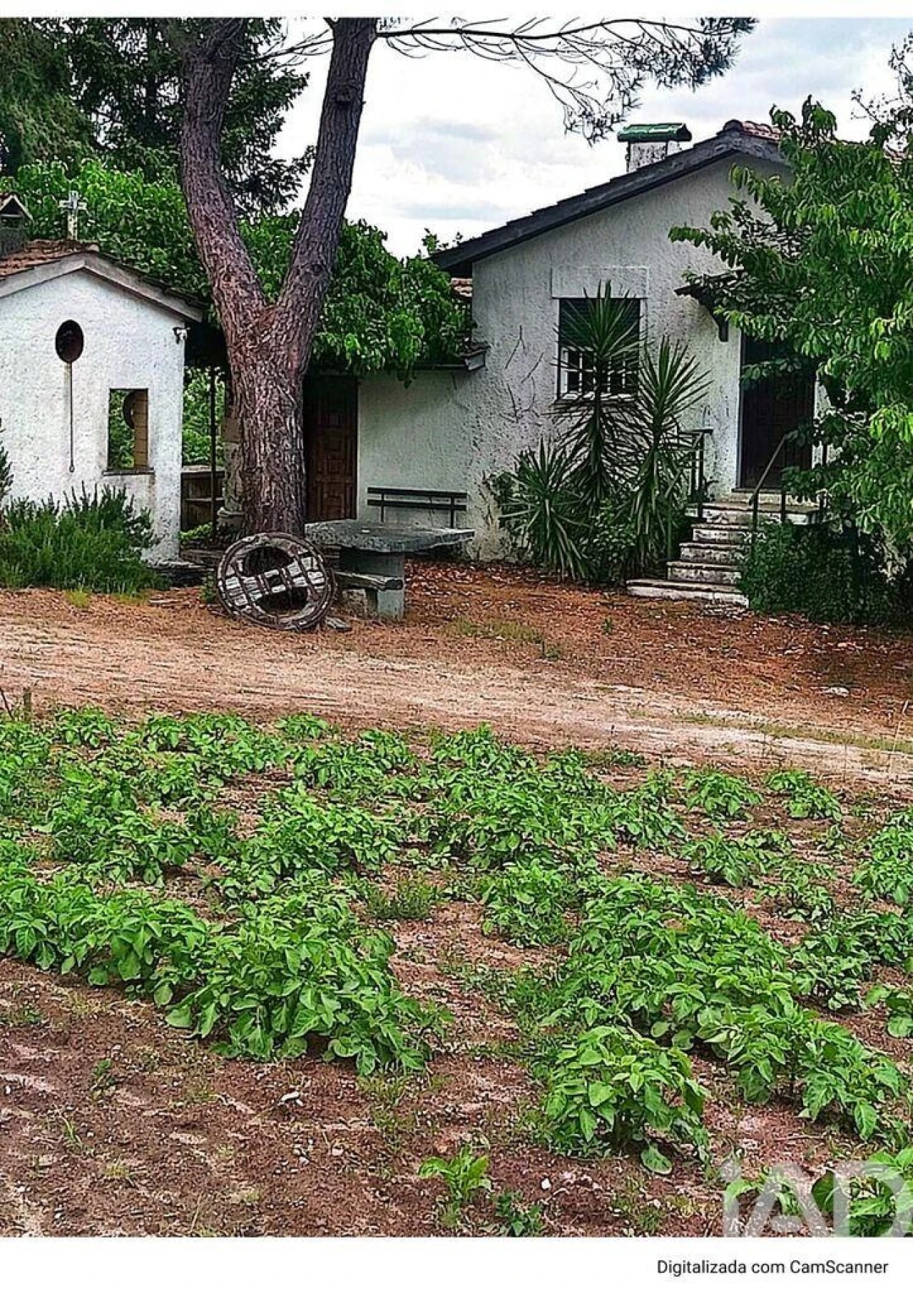 Terreno para Venda em São Miguel de Vila Boa Foto 1