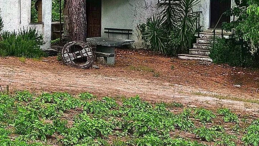 Terreno para Venda em São Miguel de Vila Boa