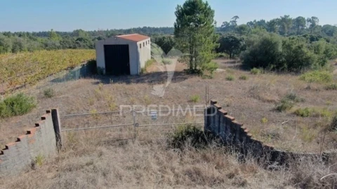 Terreno para Venda em Almoster