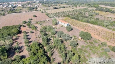 Terreno para Venda em Almoster