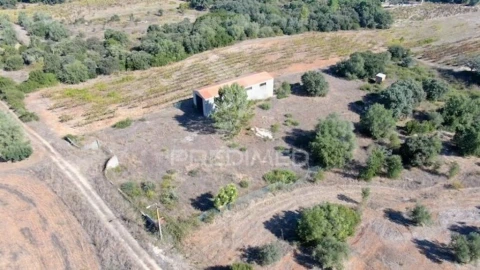 Terreno para Venda em Almoster