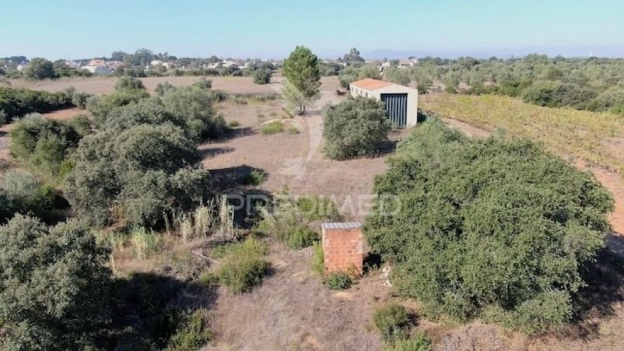 Terreno para Venda em Almoster Foto 5
