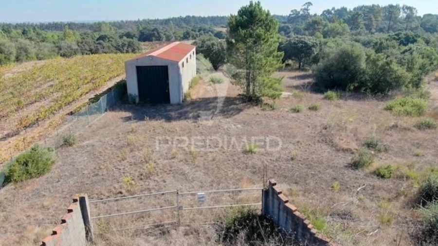 Terreno para Venda em Almoster Foto 2