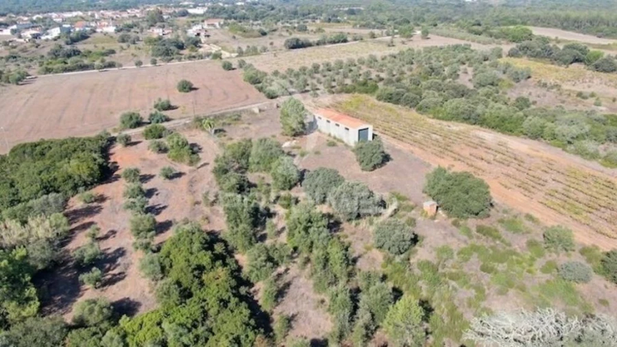 Terreno para Venda em Almoster Foto 8